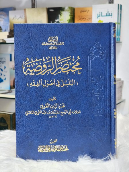 مختصر الروضة